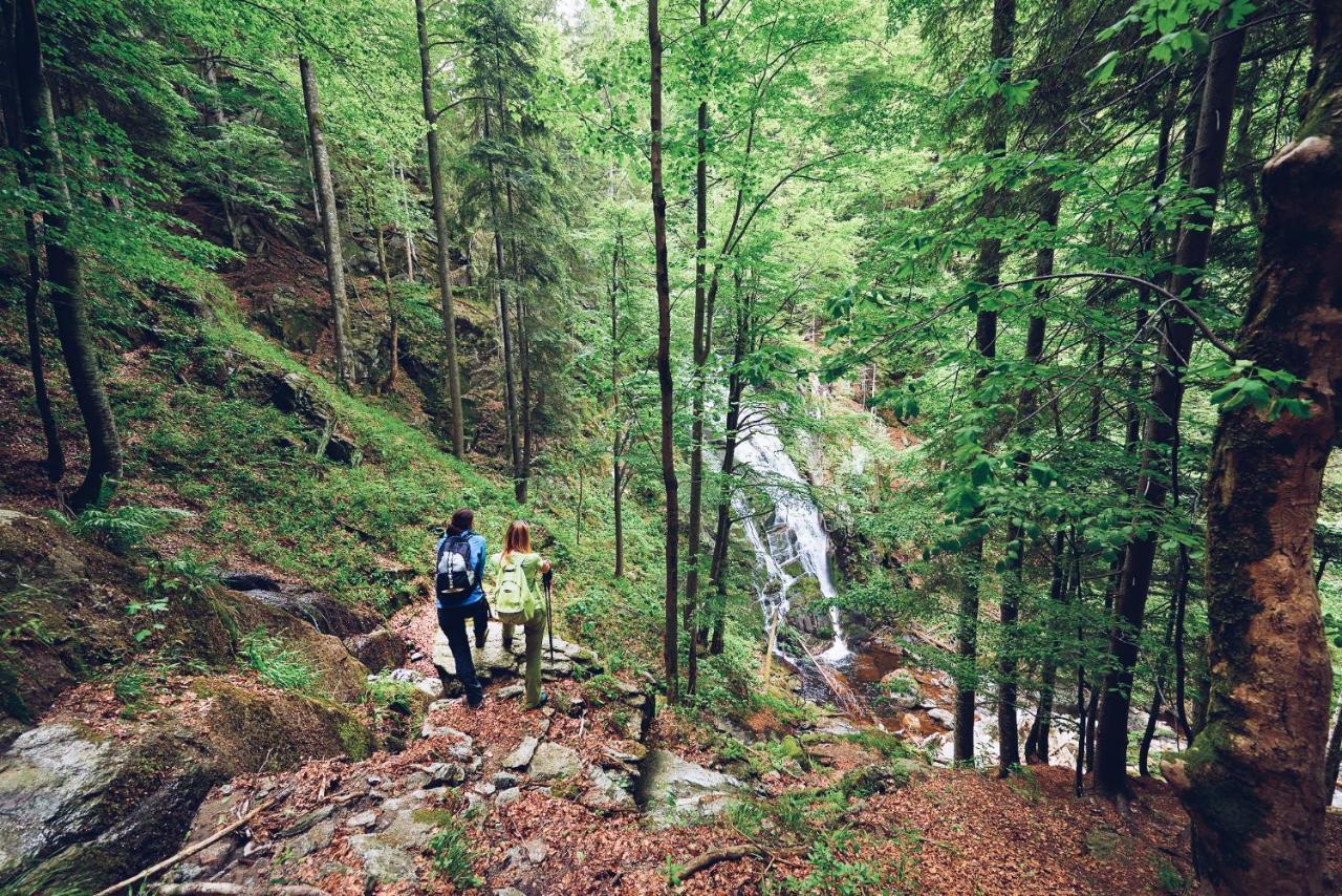 Pohorje Village Wellbeing Resort - Wellness & Spa Hotel Bolfenk Maribor Eksteriør bilde