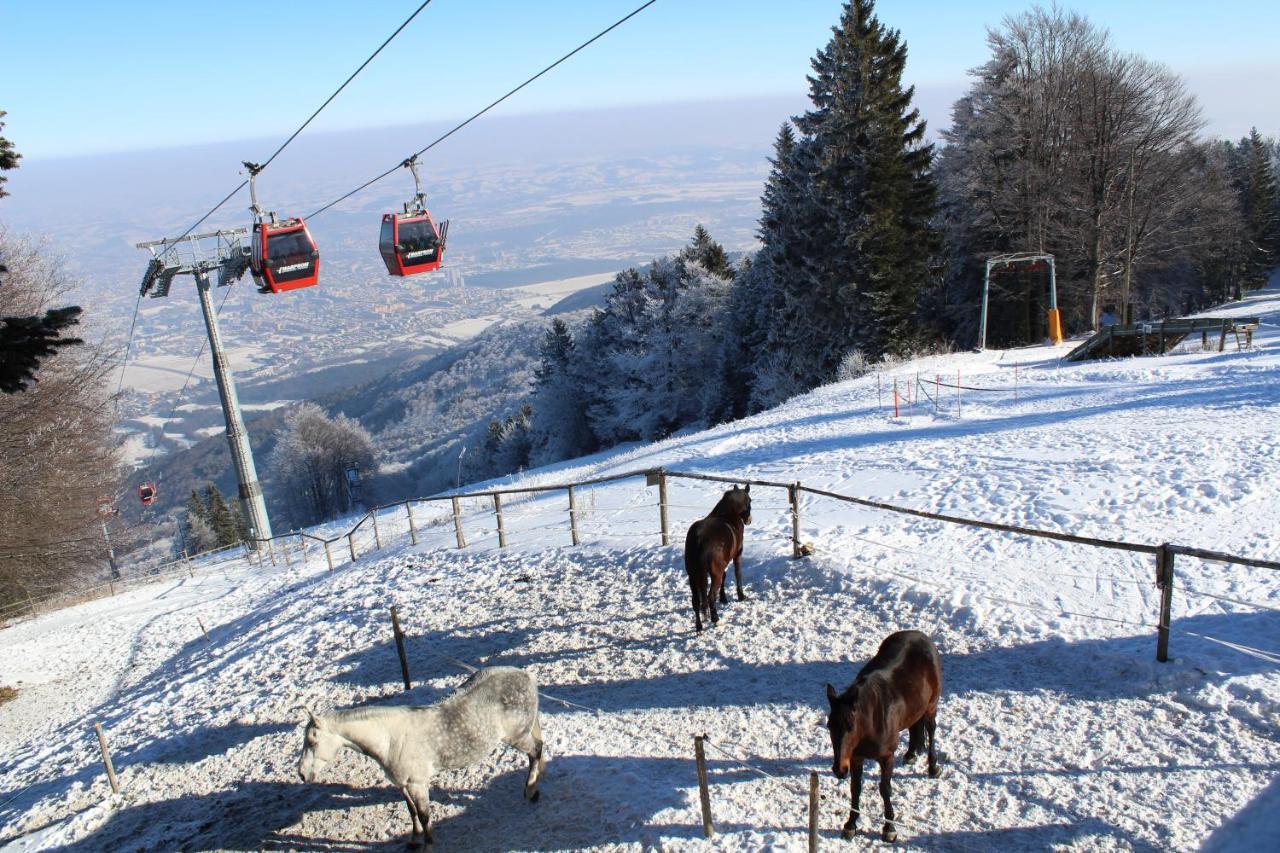 Pohorje Village Wellbeing Resort - Wellness & Spa Hotel Bolfenk Maribor Eksteriør bilde